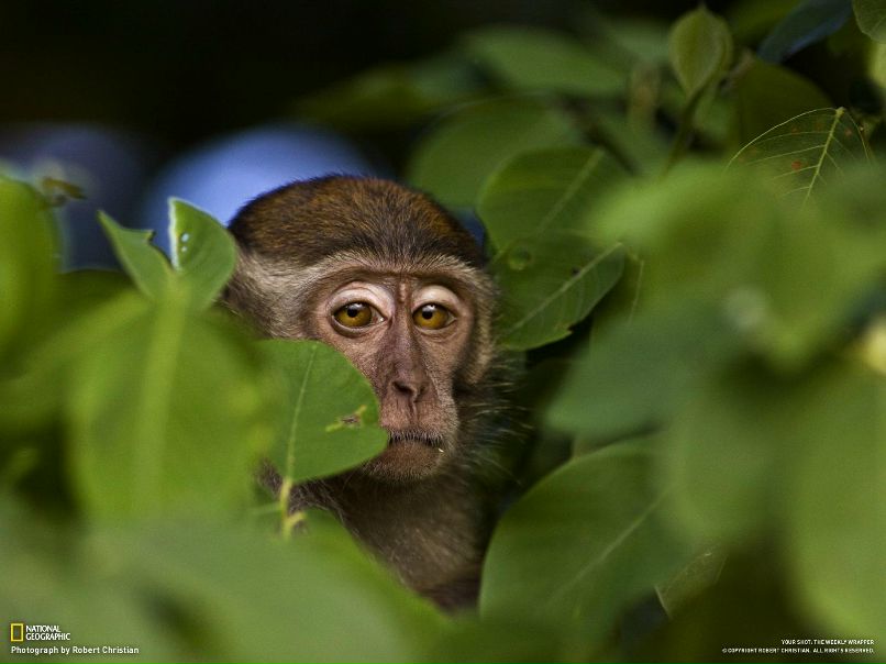 Гриша Ермаков фотография #38