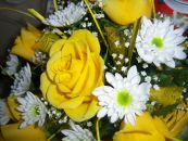 Фотография Кривенко Марины