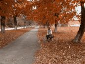 Світланка Білова фотография #38 (источник - https://vk.com/id35103113)