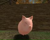 Антон Киселёв фотография #15 (источник - https://vk.com/id399088)