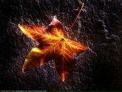 Фотография Глазковой Маши