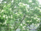 Соломія Юрченко фотография #45 (источник - https://vk.com/id80727518)