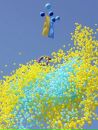 Алина Українка фотография #44 (источник - https://vk.com/id8172251)