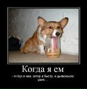 Дмитрий Винник фотография #21 (источник - https://vk.com/id26933235)