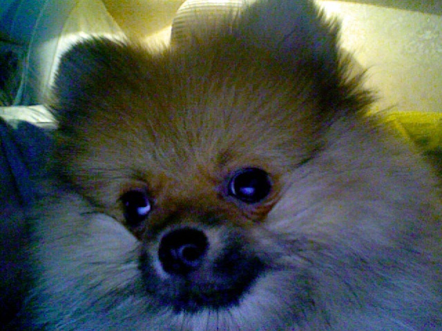 Катя Серебряная фотография #12