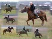 Фотография  