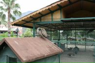 Алиска♥♥♥ Киска фотография #2 (источник - https://vk.com/id92678320)