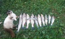 Фотография Ковалевой-Катковой Инны