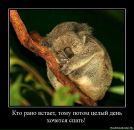 Фотография Фетисовой Светы