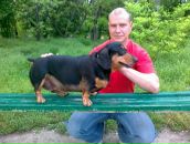 Фотография Кулигина Михаила