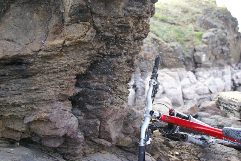 Дмитрий Пономарев фотография #43