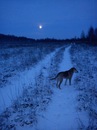 Сергей Хрусталев фотография #50 (источник - https://vk.com/id89233164)