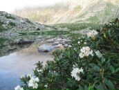 Фотография Степановой Юлии