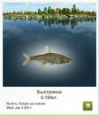 Максім Гончар фотография #37 (источник - https://vk.com/id48824433)