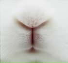 Фотография Александрова Михаила