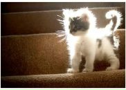 Фотография Гасановой Галины