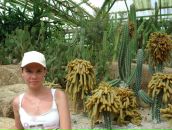 Фотография Тороповой Анастасии