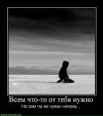 Андрей Лермонтов фотография #29 (источник - https://vk.com/id3879905)
