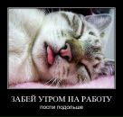 Танічка Чума фотография #47 (источник - https://vk.com/id11930895)