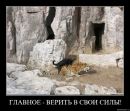 Макс Пронів фотография #13 (источник - https://vk.com/id44517894)