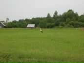 Антон Кропачев фотография #20 (источник - https://vk.com/id2206468)