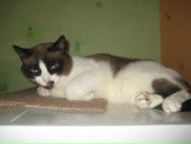 Фотография Мальцева Андрея