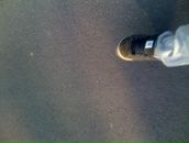 Фотография Ильенко Александра