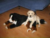 Фотография Репиной Марины