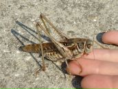 Фотография Околиздаева Михаила