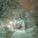 Лєна Лайкова фотография #10 (источник - https://vk.com/id85271534)