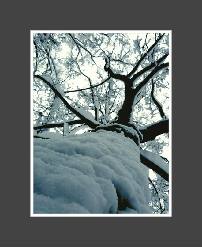 Сергей Петров фотография #42