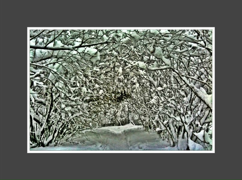 Сергей Петров фотография #41