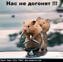 Євген Бабченко фотография #5 (источник - https://vk.com/id165441063)