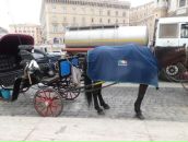 Андрій Никифорук фотография #38 (источник - https://vk.com/id74538245)