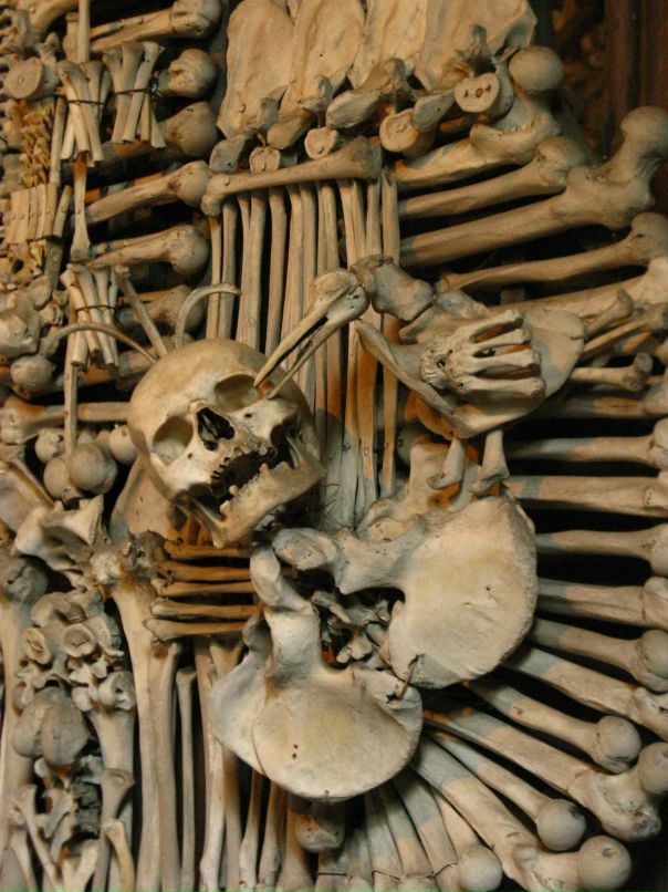 Владимир Дементьев фотография #30