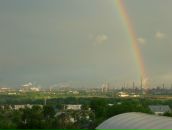 Фотография Красильникова Александра