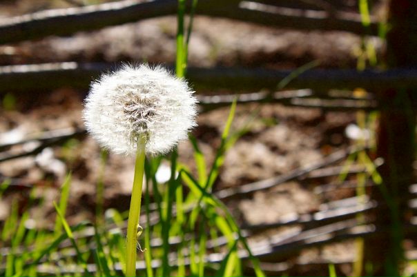 Елена Евсюкова фото №38