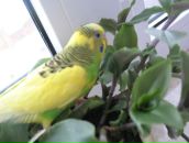 Віталік Палинський фотография #49 (источник - https://vk.com/id27052767)