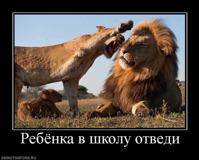 Сергей Нечкин фотография #20
