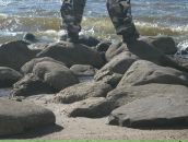 Фотография Родимцева Андрея