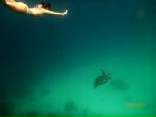 Анна Лебедева фотография #10 (источник - https://vk.com/id1174509)