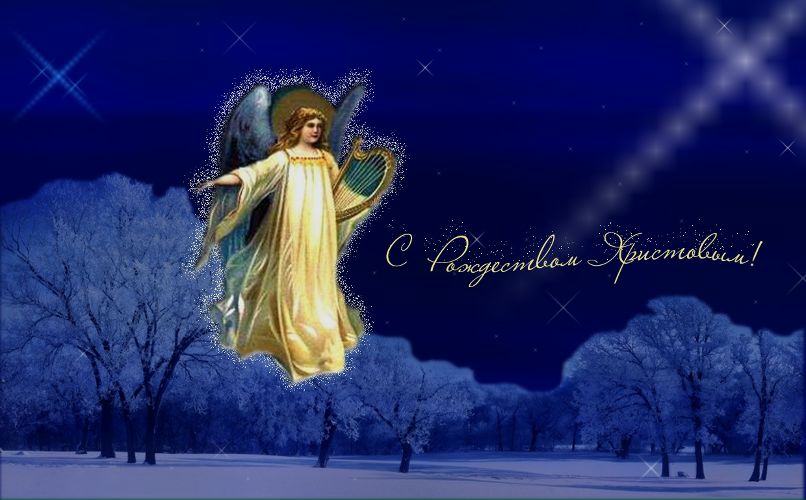 Марина Дима фотография #47