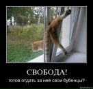 Сергей Семухин фотография #38 (источник - https://vk.com/id9216928)