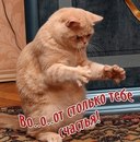 Аліна Плескун фотография #42 (источник - https://vk.com/id160249627)