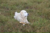 Иван Любченко фотография #44 (источник - https://vk.com/id682883)