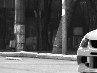 Валік Брицький фотография #23 (источник - https://vk.com/id165842348)