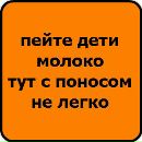 Віка Литвиненко фотография #30 (источник - https://vk.com/id137266373)