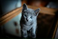 Фотография Юдиной Екатерины