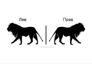 Фотография Насоновой Марии