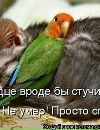 Юлія Чушенко фотография #11 (источник - https://vk.com/id150826724)